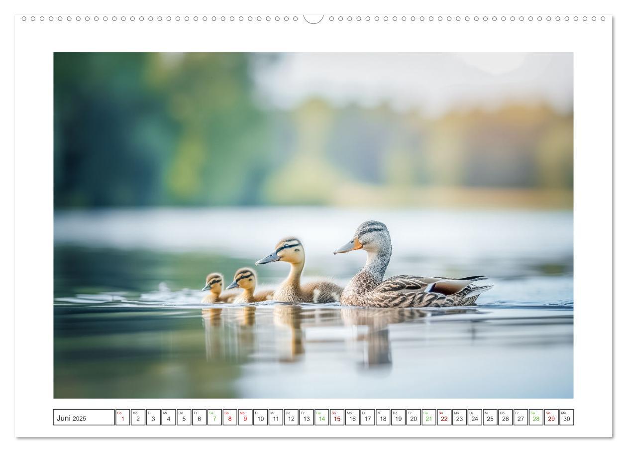 Bild: 9783457165614 | Naturparadies Wald (hochwertiger Premium Wandkalender 2025 DIN A2...