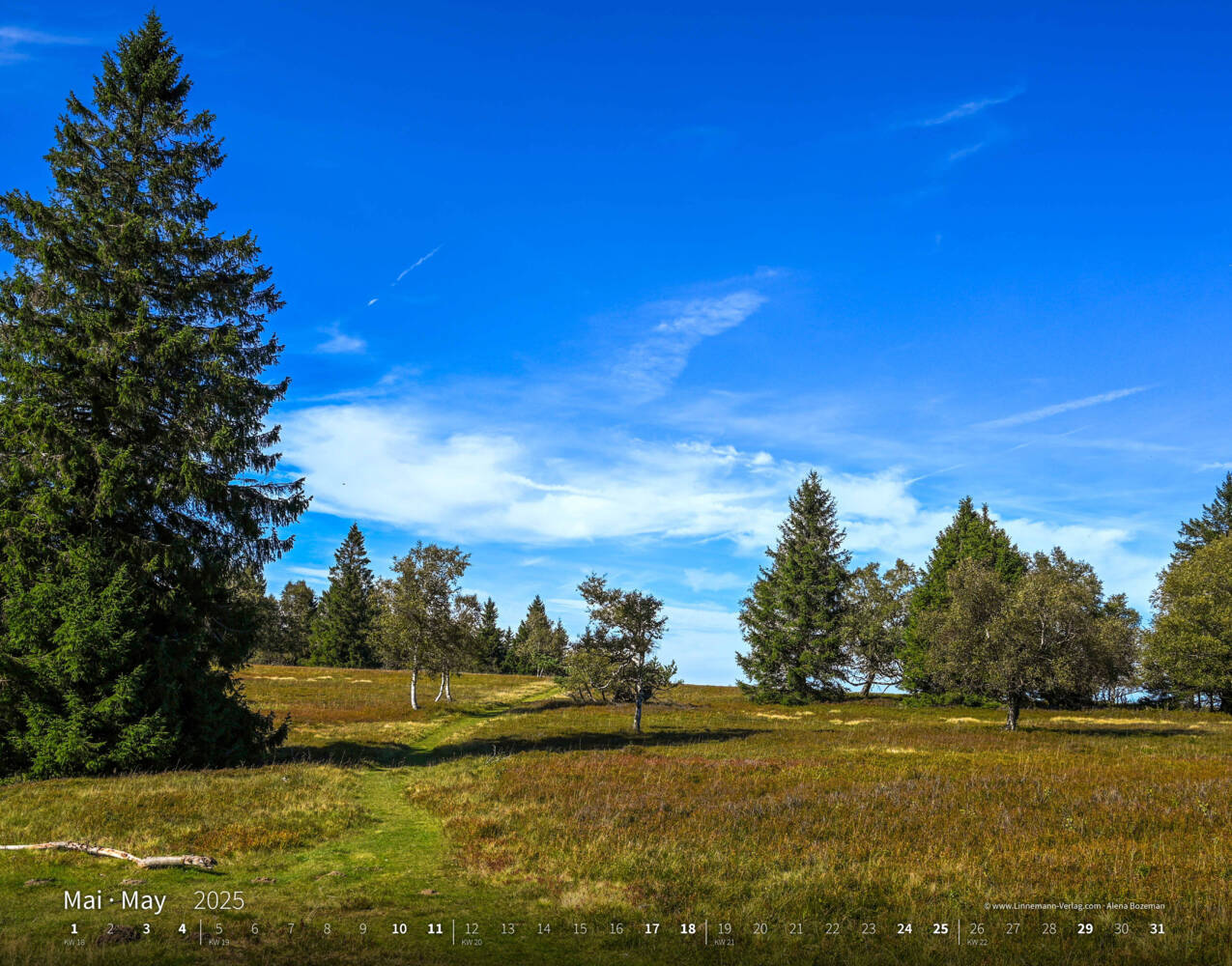 Bild: 9783862923427 | Wandern 2025 Großformat-Kalender 58 x 45,5 cm | Hiking 2025 | Verlag