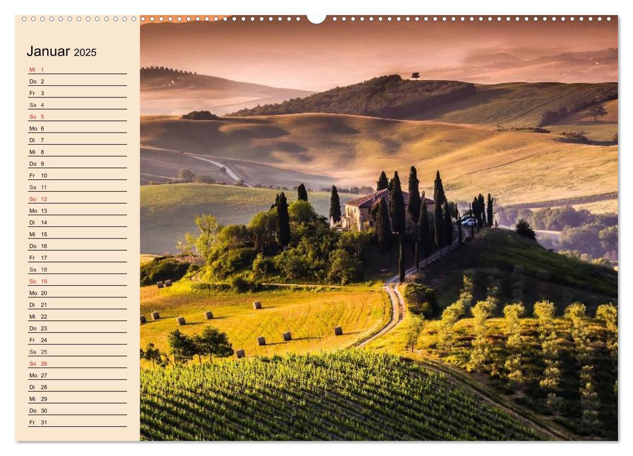 Bild: 9783435513178 | Weinanbau. Von der Traube zum Wein (Wandkalender 2025 DIN A2 quer),...