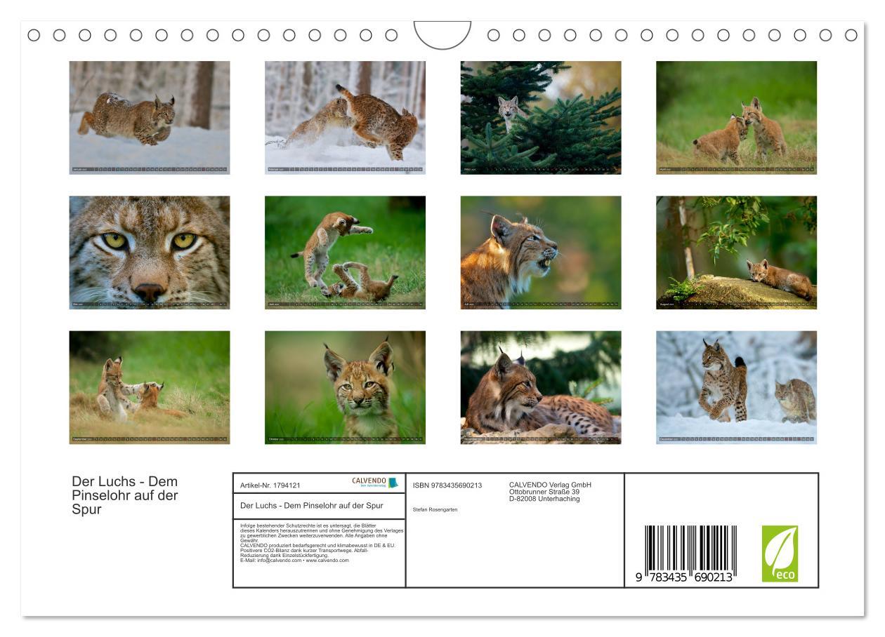 Bild: 9783435690213 | Der Luchs - Dem Pinselohr auf der Spur (Wandkalender 2025 DIN A4...