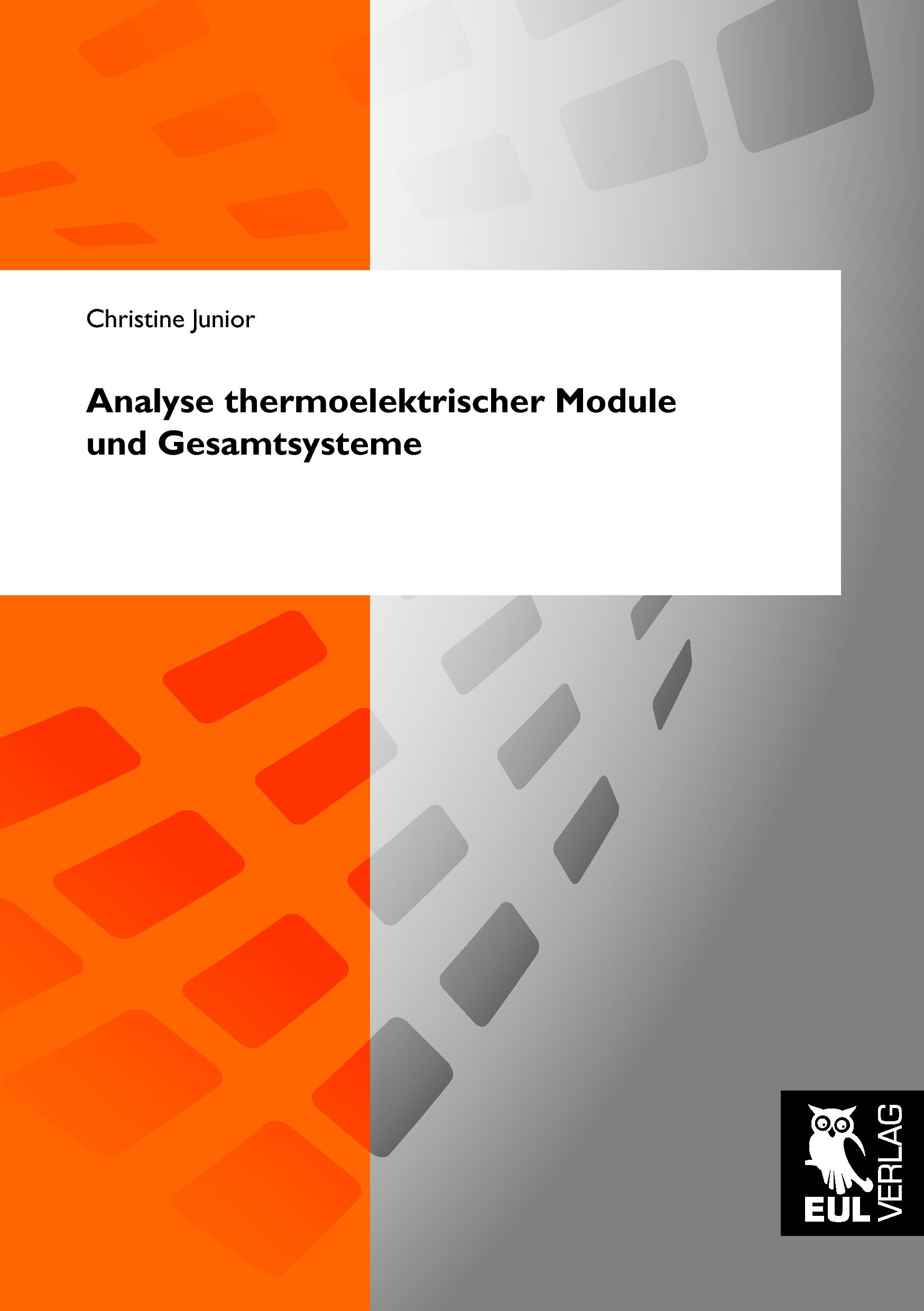 Cover: 9783899369878 | Analyse thermoelektrischer Module und Gesamtsysteme | Christine Junior