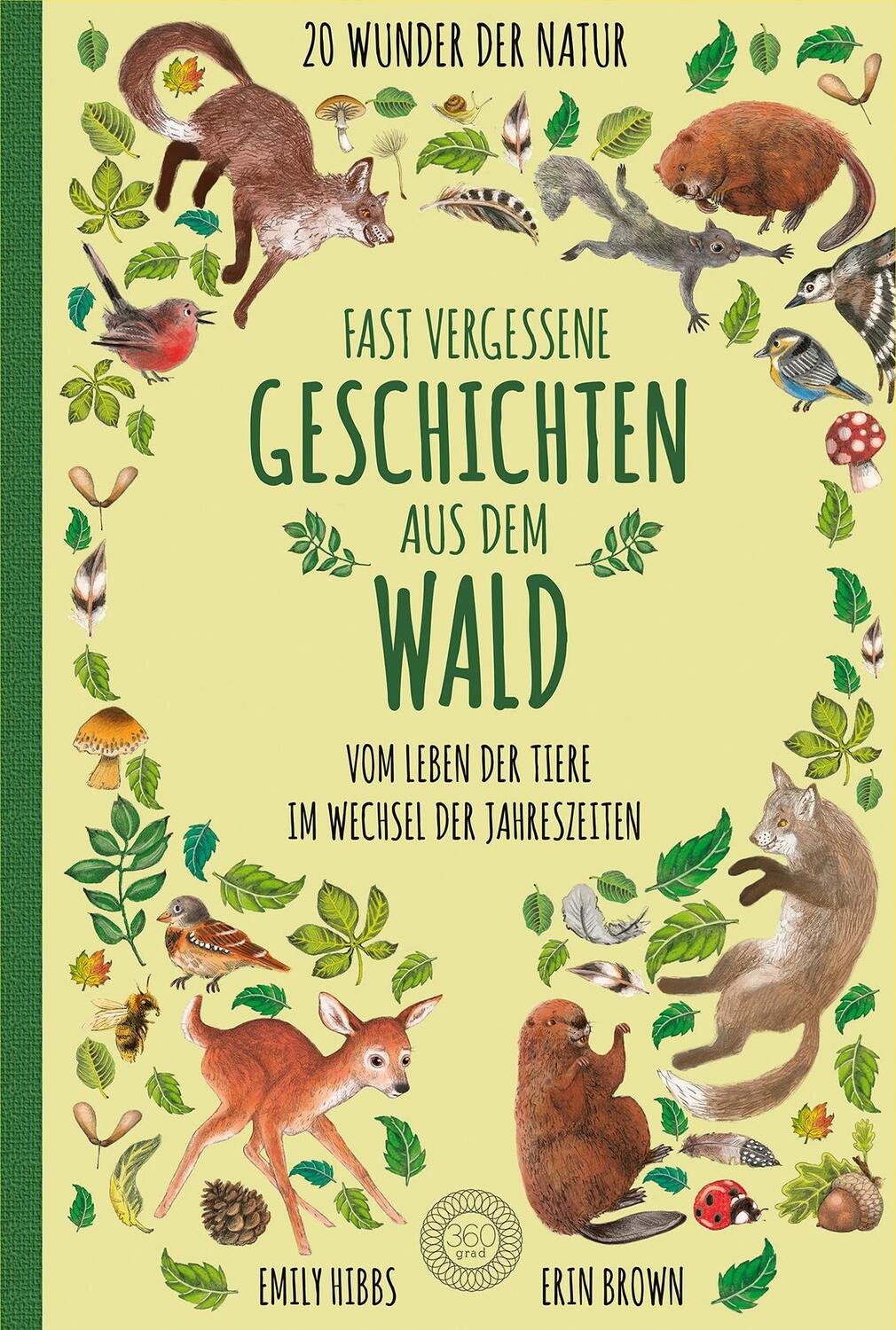 Cover: 9783961850419 | Fast vergessene Geschichten aus dem Wald | Emily Hibbs | Buch | 128 S.