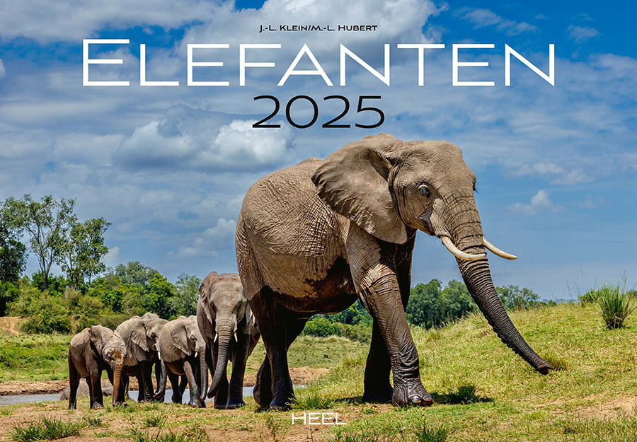 Cover: 9783966648127 | Elefanten Kalender 2025 | J.-L. Klein (u. a.) | Kalender | 14 S.