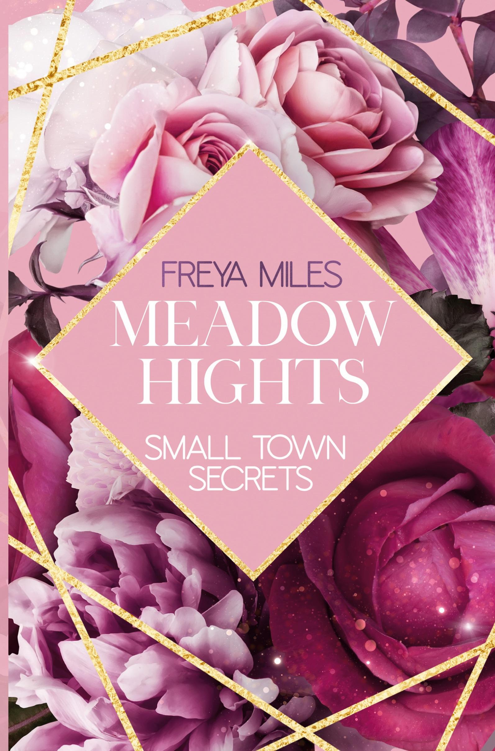 Cover: 9783757924805 | MEADOW HIGHTS: Small Town Secrets | Freya Miles | Taschenbuch | 260 S.