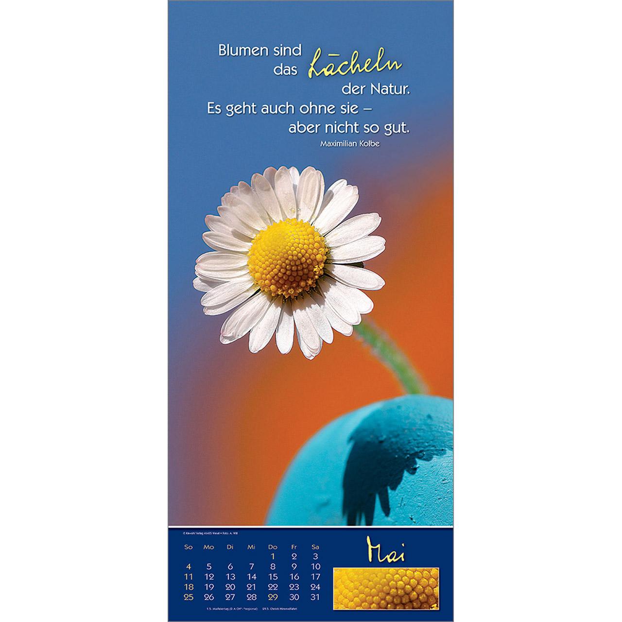 Bild: 9783754858554 | Augenblicke 2025 | Symbol-Kalender | Anke Will | Kalender | 14 S.