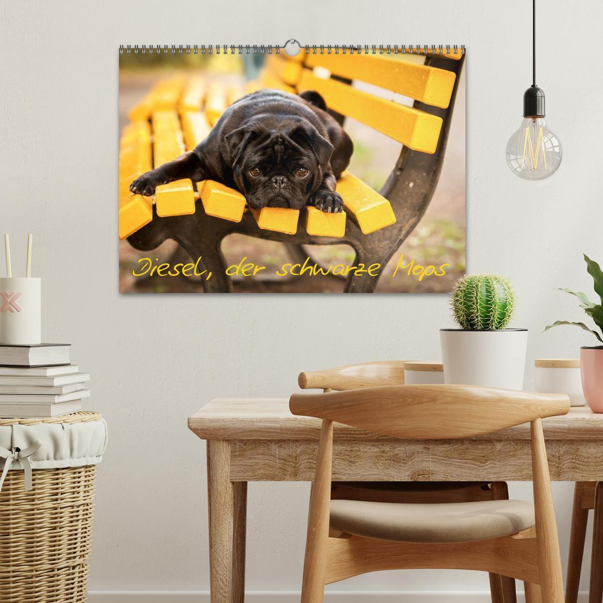 Bild: 9783435571314 | Diesel, der schwarze Mops (Wandkalender 2025 DIN A3 quer), CALVENDO...