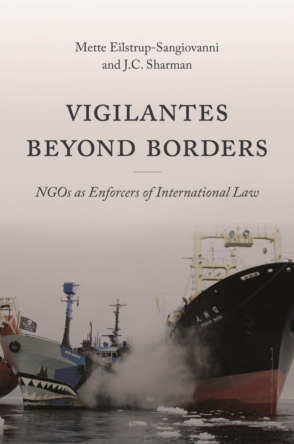 Cover: 9780691232232 | Vigilantes Beyond Borders | NGOs as Enforcers of International Law