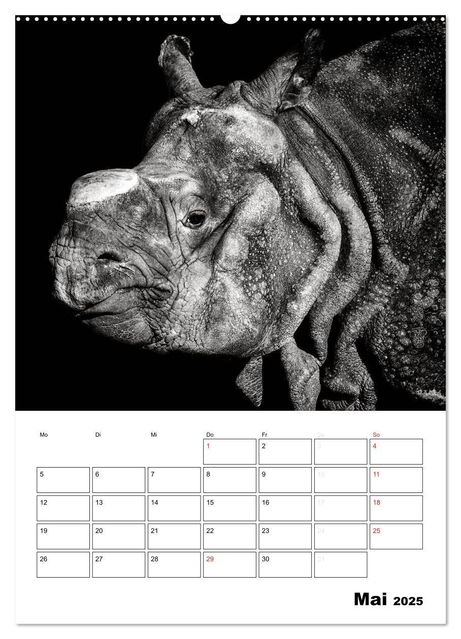 Bild: 9783457012840 | Charakterköpfe aus der Welt der Tiere (Wandkalender 2025 DIN A2...