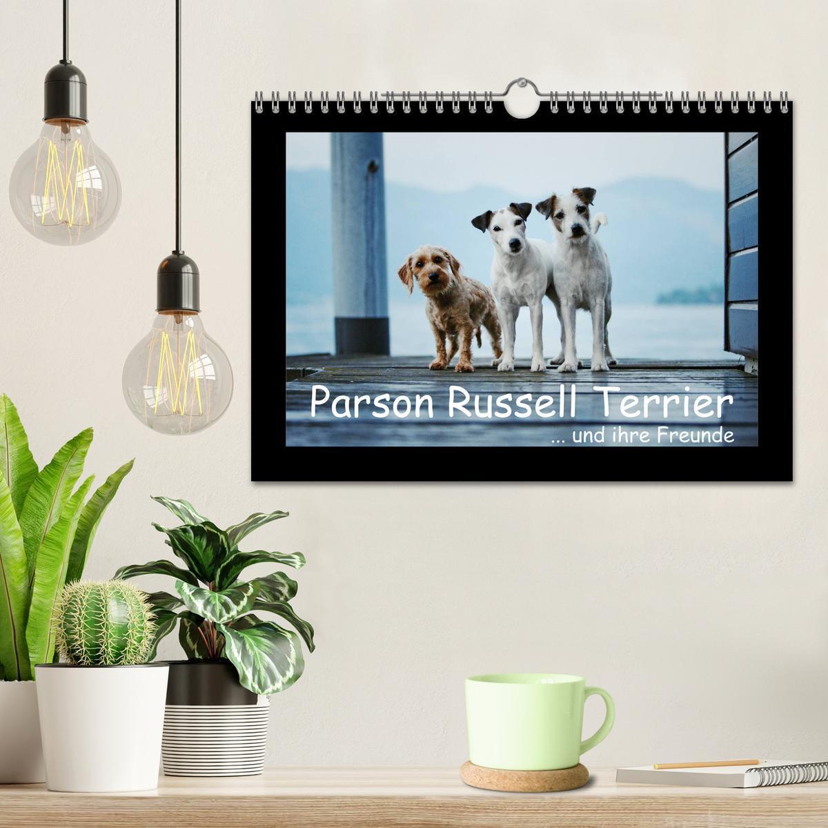 Bild: 9783435758555 | Parson Russell Terrier (Wandkalender 2025 DIN A4 quer), CALVENDO...