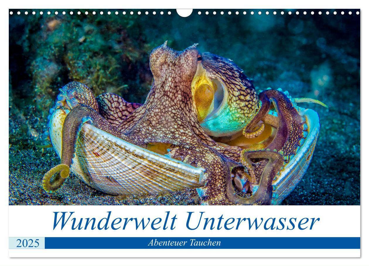 Cover: 9783435293087 | Wunderwelt Unterwasser (Wandkalender 2025 DIN A3 quer), CALVENDO...