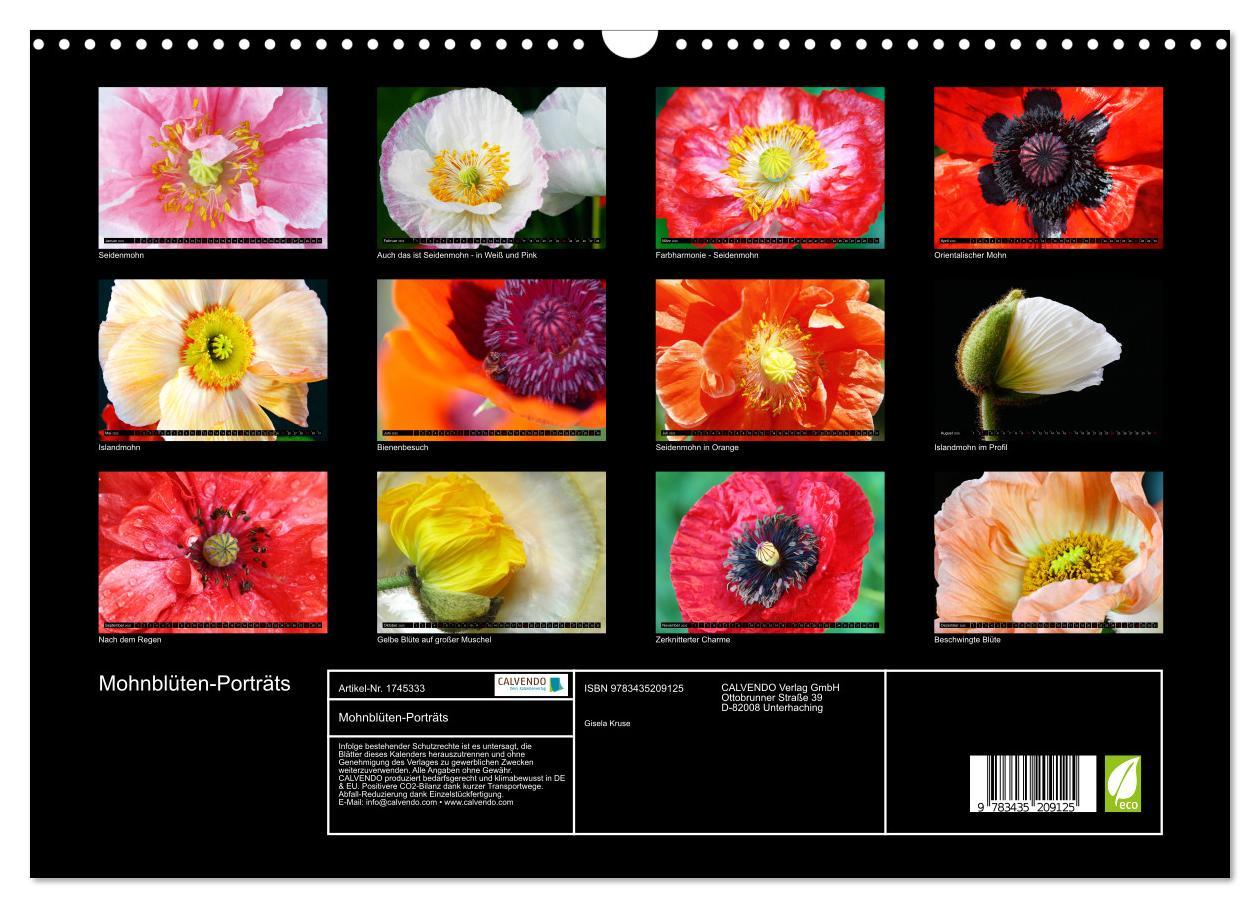 Bild: 9783435209125 | Mohnblüten-Porträts (Wandkalender 2025 DIN A3 quer), CALVENDO...