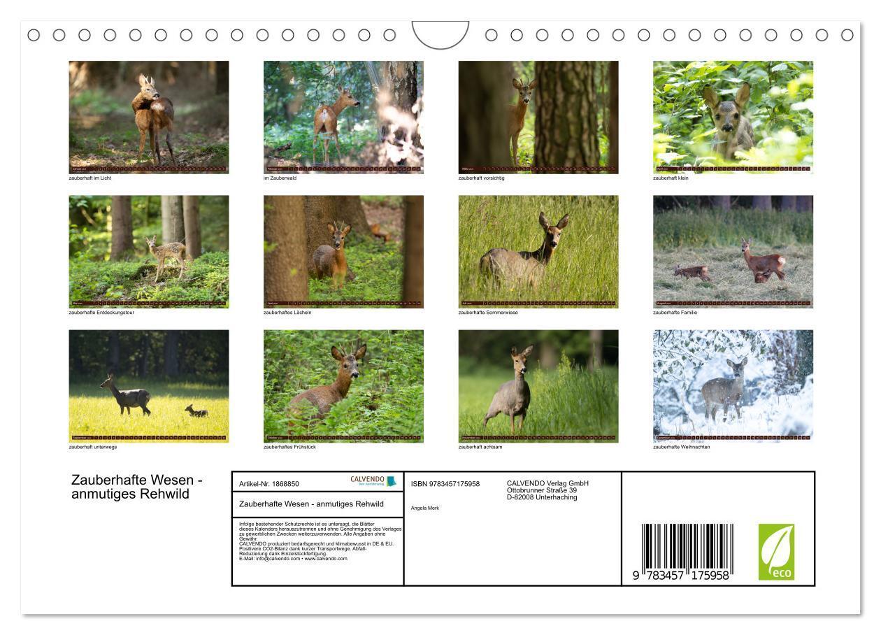 Bild: 9783457175958 | Zauberhafte Wesen - anmutiges Rehwild (Wandkalender 2025 DIN A4...