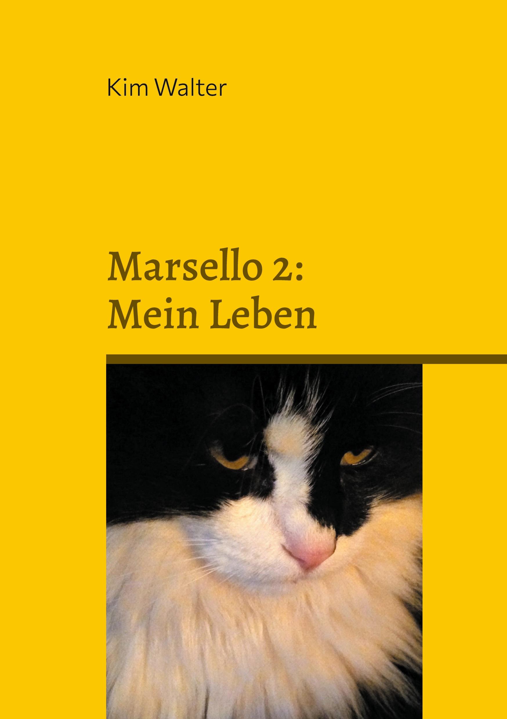 Cover: 9783769353075 | Marsello 2: Mein Leben | Das Beste aus den Jahren 2021 - 2025 | Walter