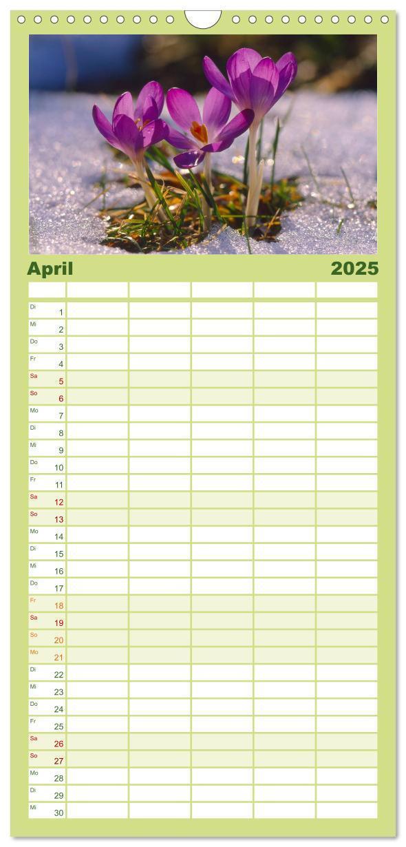 Bild: 9783457120347 | Familienplaner 2025 - Wildblumen 2025 mit 5 Spalten (Wandkalender,...