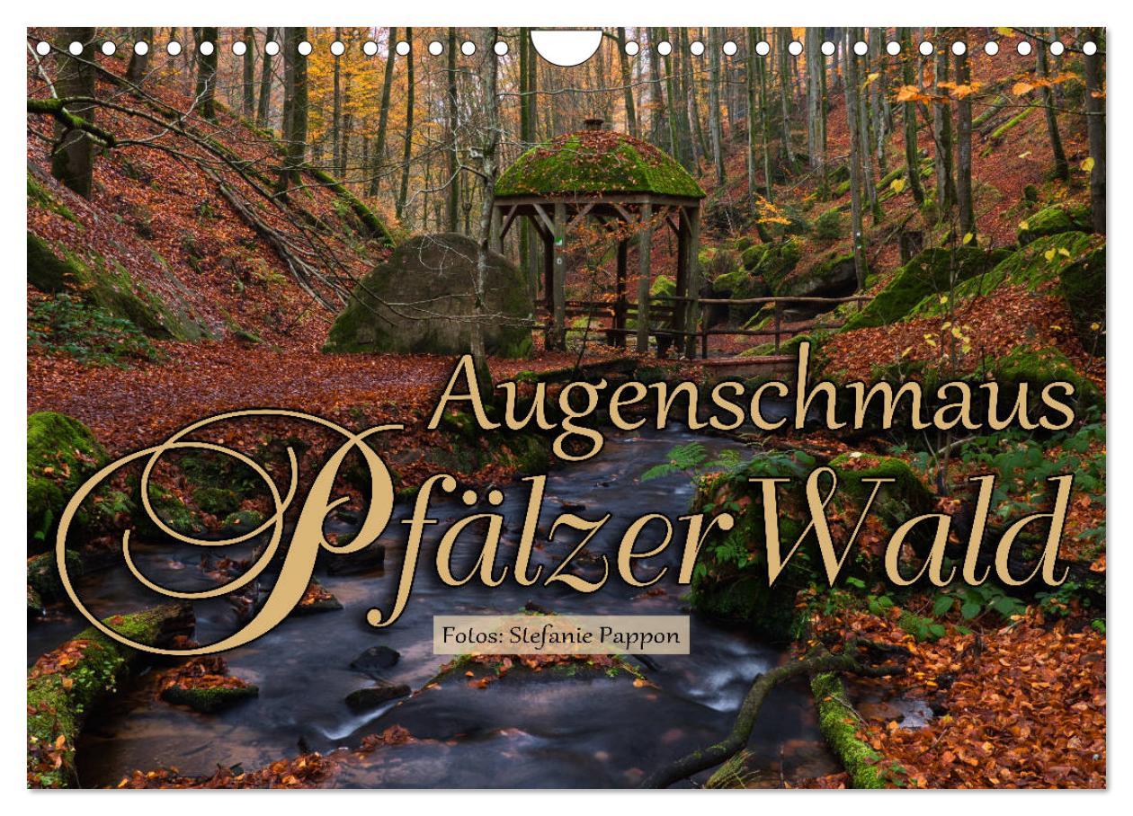 Cover: 9783435149964 | Augenschmaus Pfälzer Wald (Wandkalender 2025 DIN A4 quer), CALVENDO...