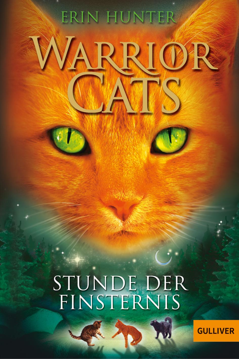 Cover: 9783407743824 | Warrior Cats Staffel 1/06. Stunde der Finsternis | Erin Hunter | Buch