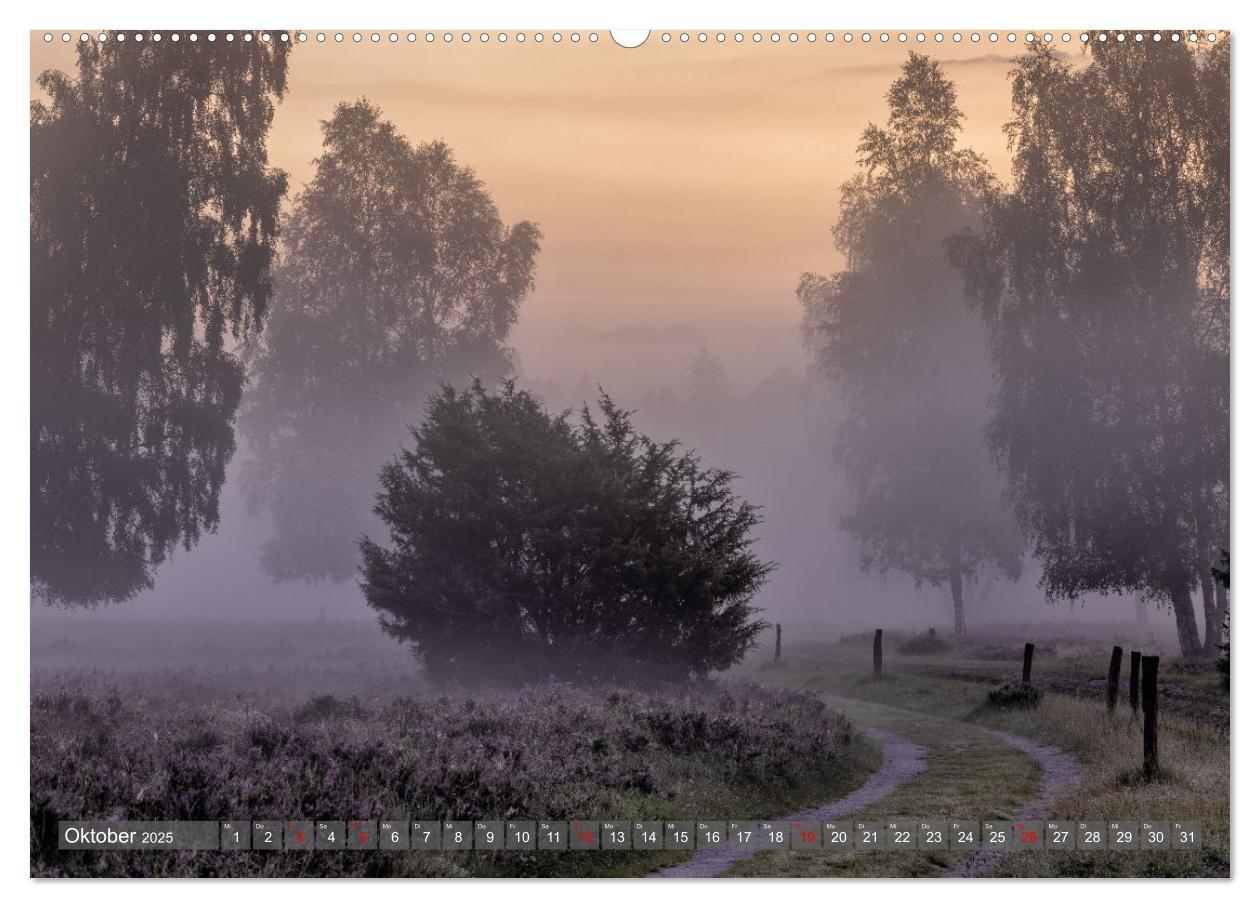 Bild: 9783383852541 | Die Lüneburger Heide - In voller Blüte (Wandkalender 2025 DIN A2...