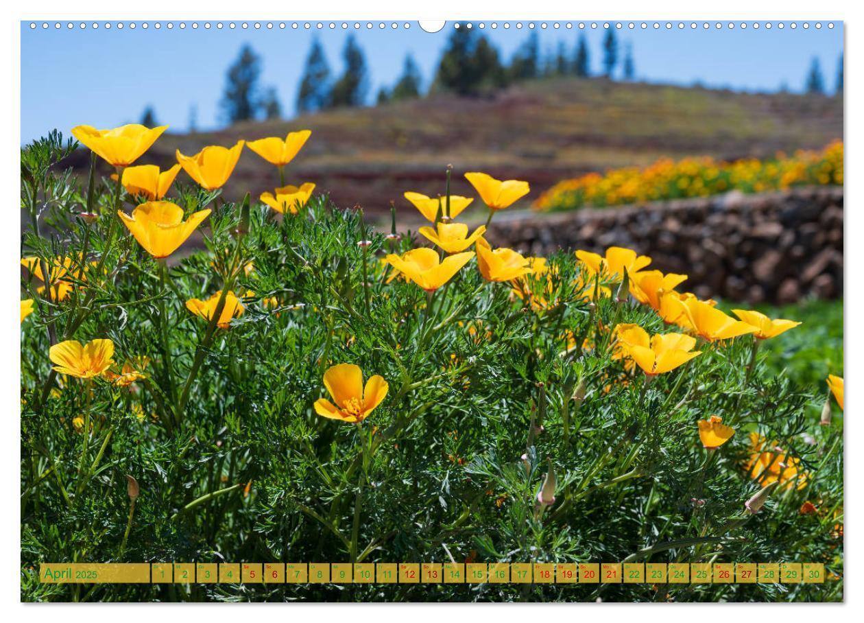 Bild: 9783435221165 | Landschaften der Kanaren - Traumziele für Wanderer (Wandkalender...