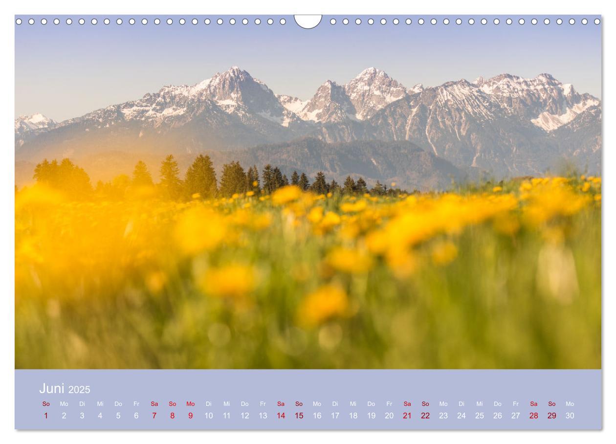 Bild: 9783383966590 | Heimweh Allgäu 2025 (Wandkalender 2025 DIN A3 quer), CALVENDO...