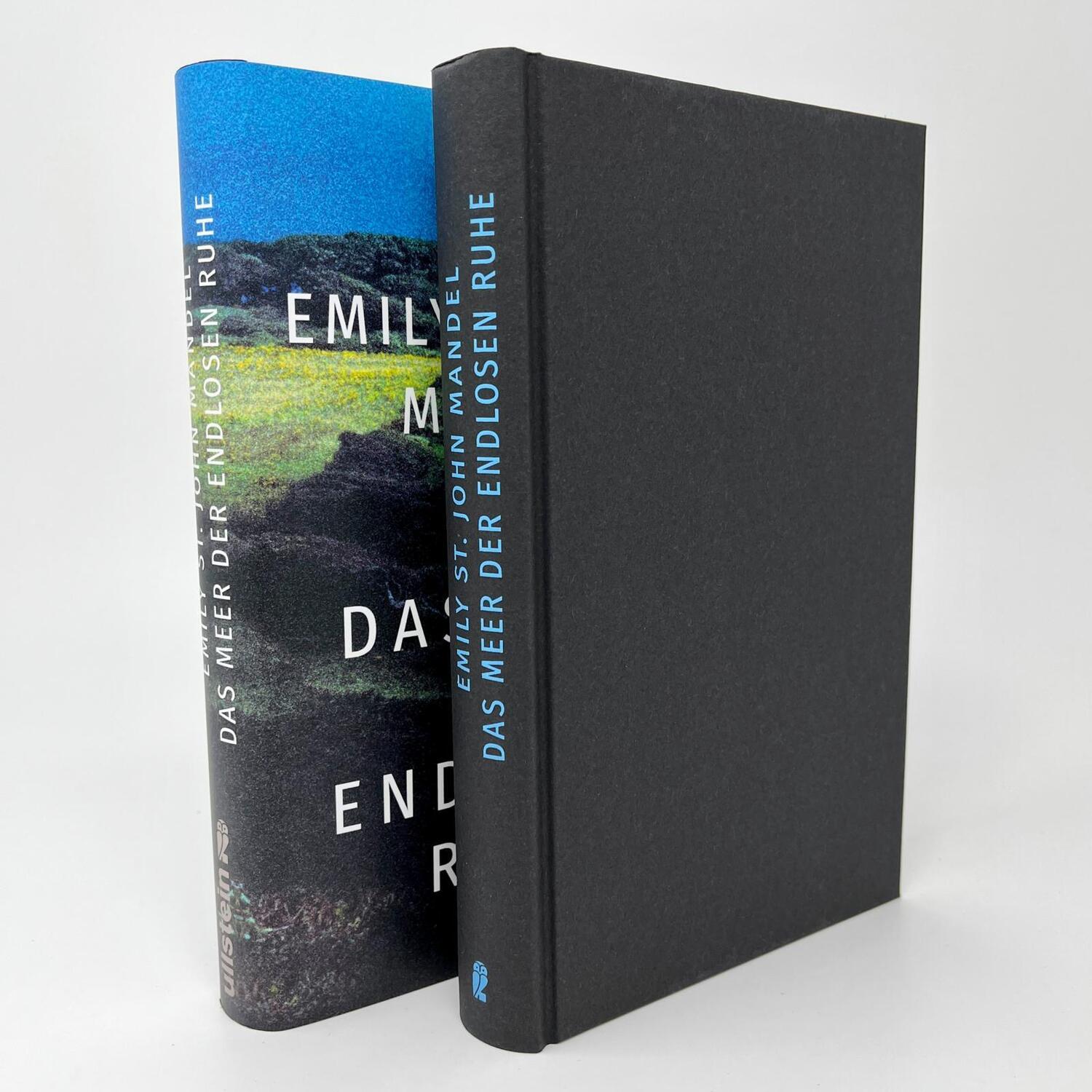 Bild: 9783550202155 | Das Meer der endlosen Ruhe | Emily St. John Mandel | Buch | 288 S.