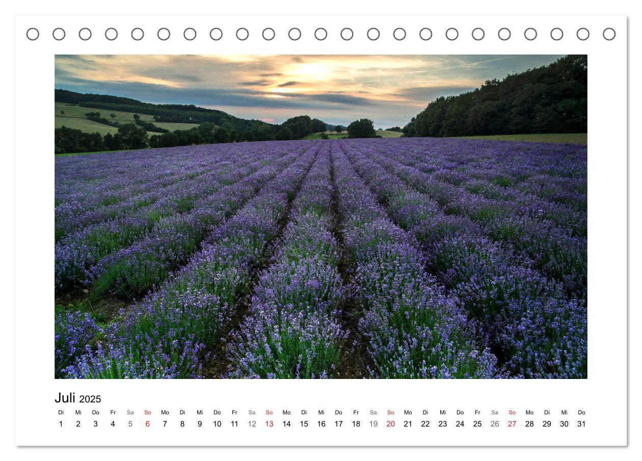 Bild: 9783435154623 | Impressionen aus Ostwestfalen-Lippe (Tischkalender 2025 DIN A5...