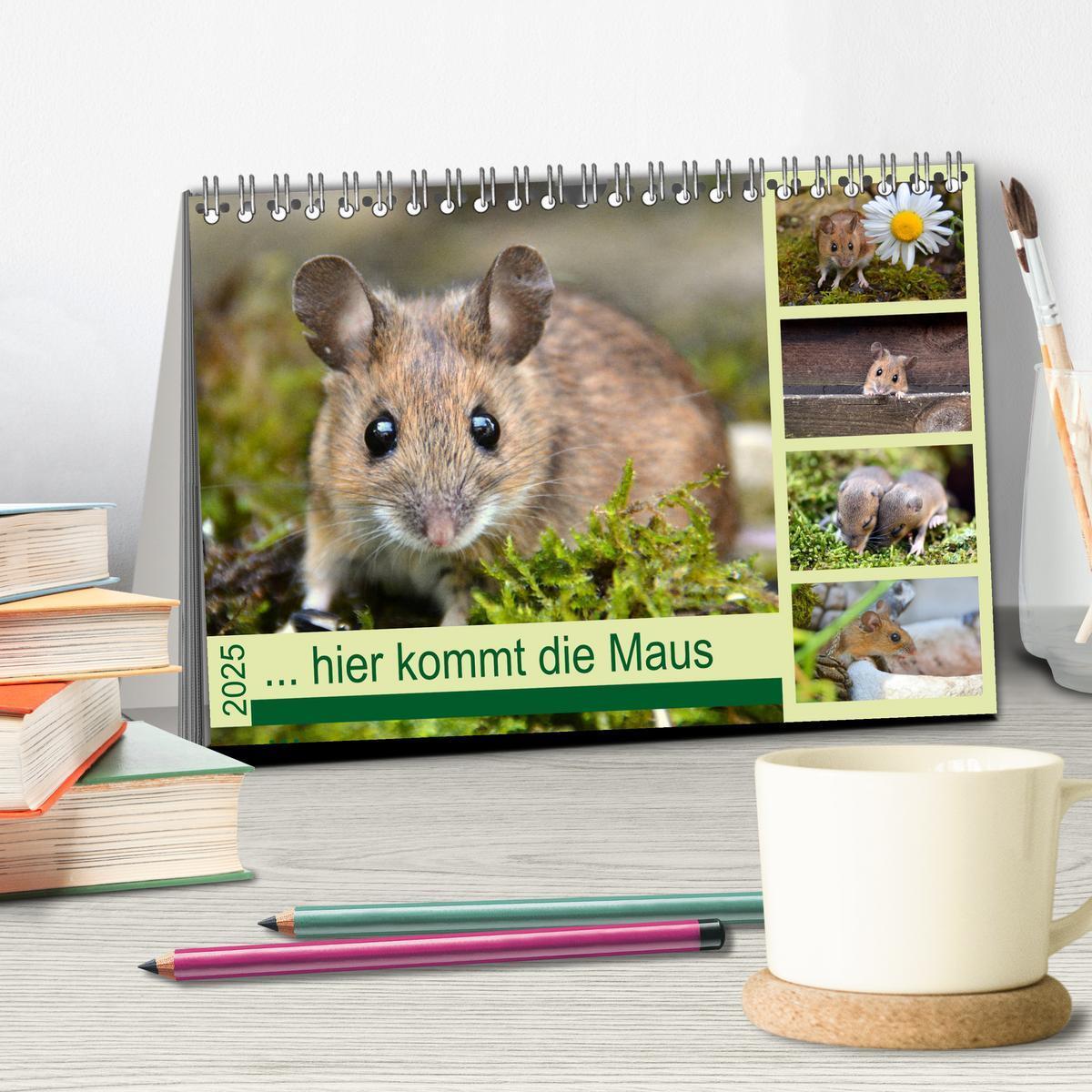 Bild: 9783435454853 | ... hier kommt die Maus ... (Tischkalender 2025 DIN A5 quer),...