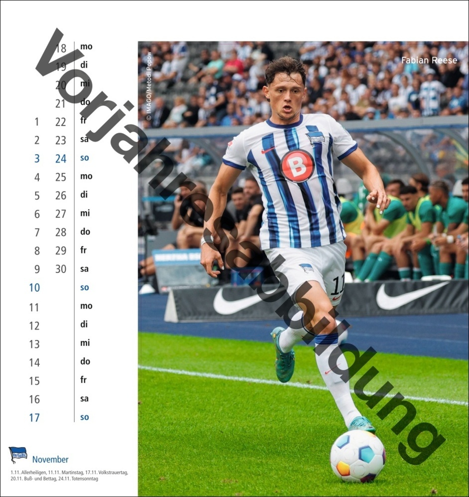 Bild: 9783756405480 | Hertha BSC Postkartenkalender 2025 | Kalender | Spiralbindung | 13 S.