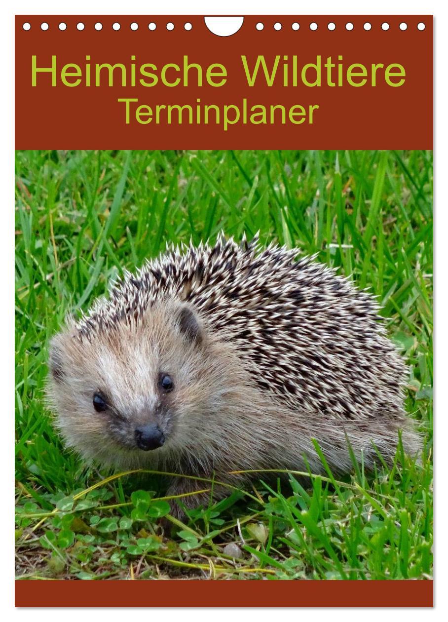 Cover: 9783457017210 | Heimische Wildtiere Terminplaner (Wandkalender 2025 DIN A4 hoch),...