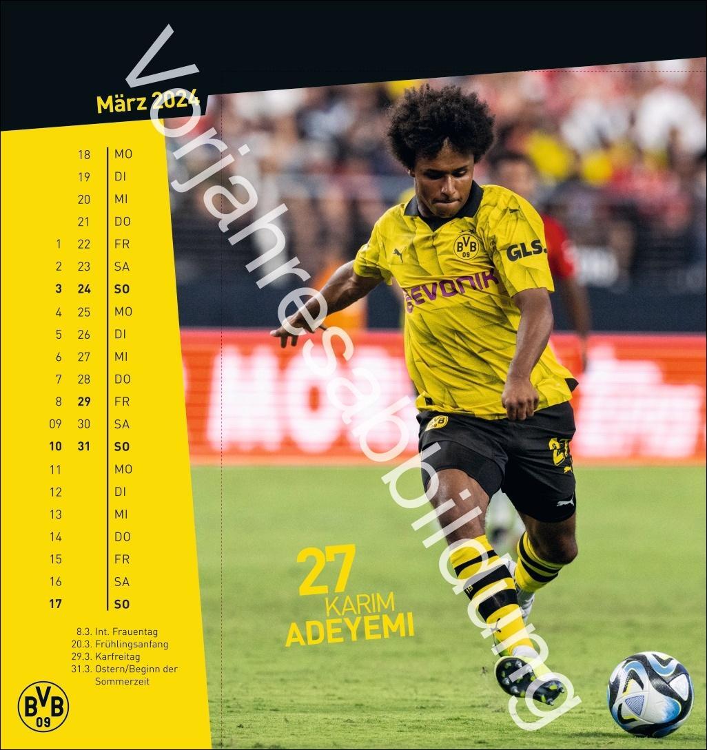 Bild: 9783756405473 | BVB Postkartenkalender 2025 | Heye | Kalender | Spiralbindung | 13 S.