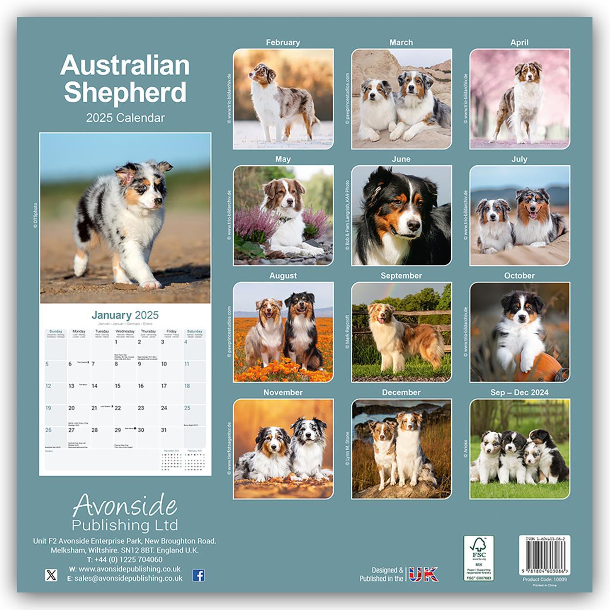 Rückseite: 9781804603086 | Australian Shepherd - Australische Schäferhunde 2025 -...