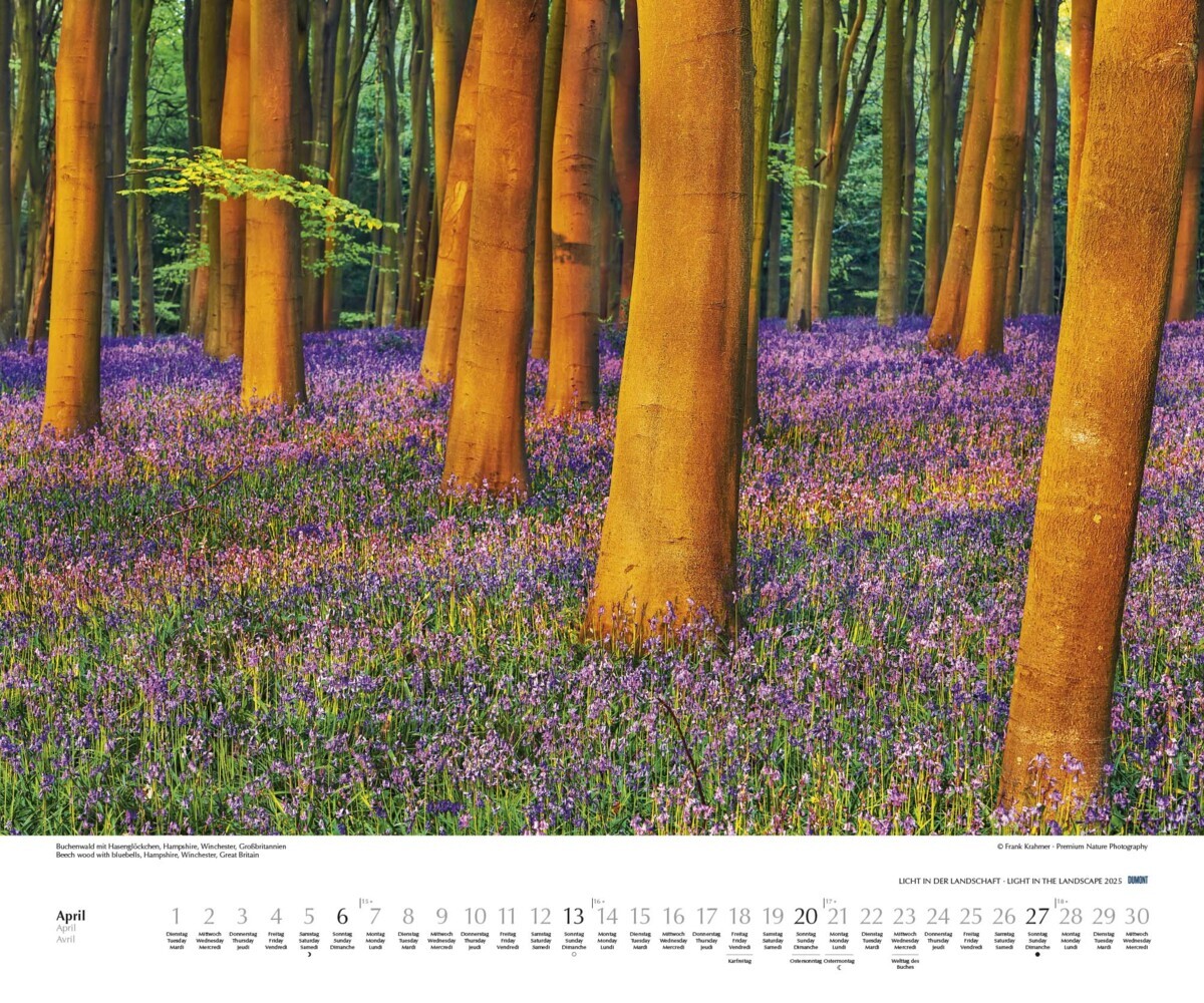 Bild: 4250809652757 | DUMONT - Licht in der Landschaft 2025 Wandkalender, 60x50cm,...