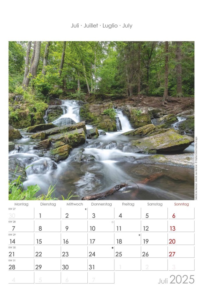 Bild: 4251732343187 | Alpha Edition - Sachsen-Anhalt 2025 Bildkalender, 23,7x34cm,...