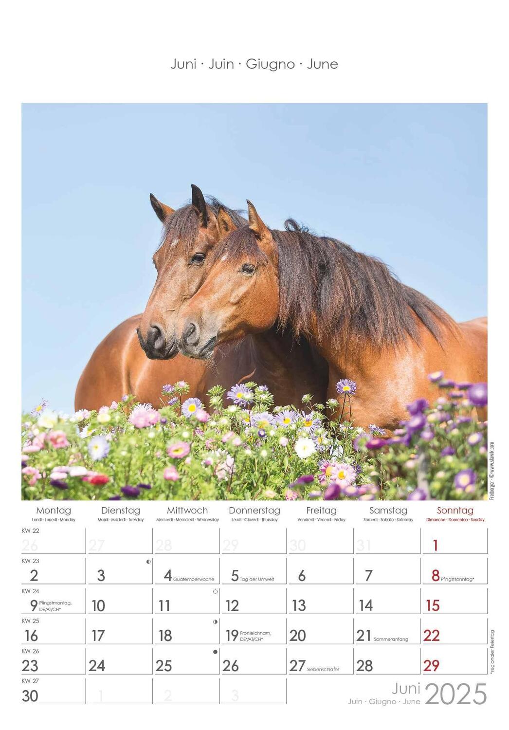 Bild: 4251732341022 | Pferde 2025 - Bildkalender 23,7x34 cm - Kalender mit Platz für...