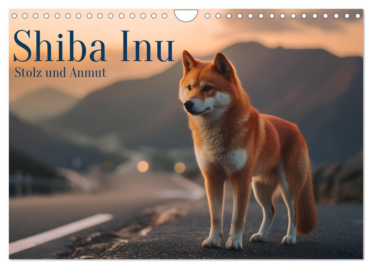 Cover: 9783383843754 | Shiba Inu - Stolz und Anmut (Wandkalender 2025 DIN A4 quer),...