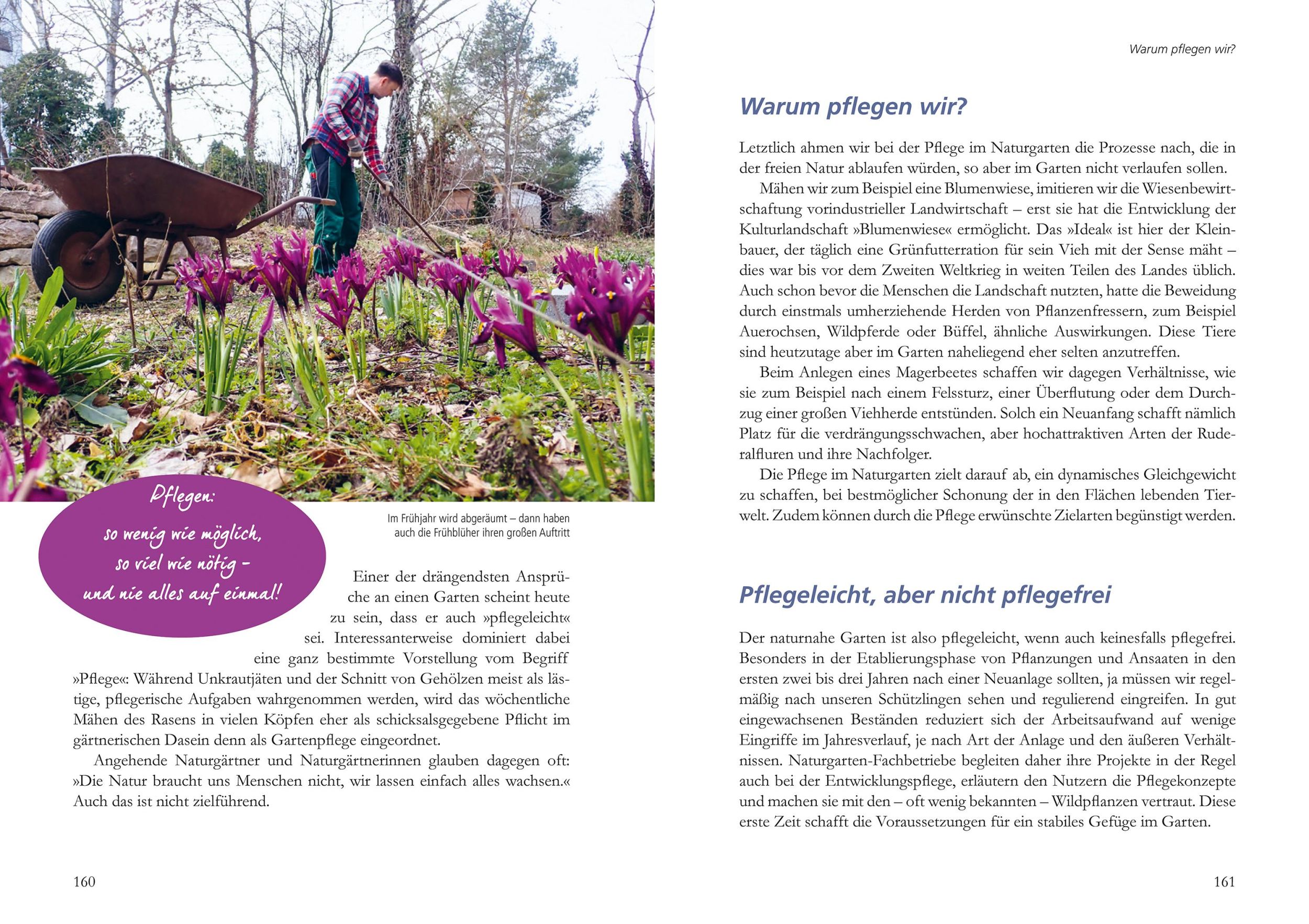 Bild: 9783895664397 | Mein Garten wird ein Naturgarten | Birgit Helbig | Buch | 176 S.