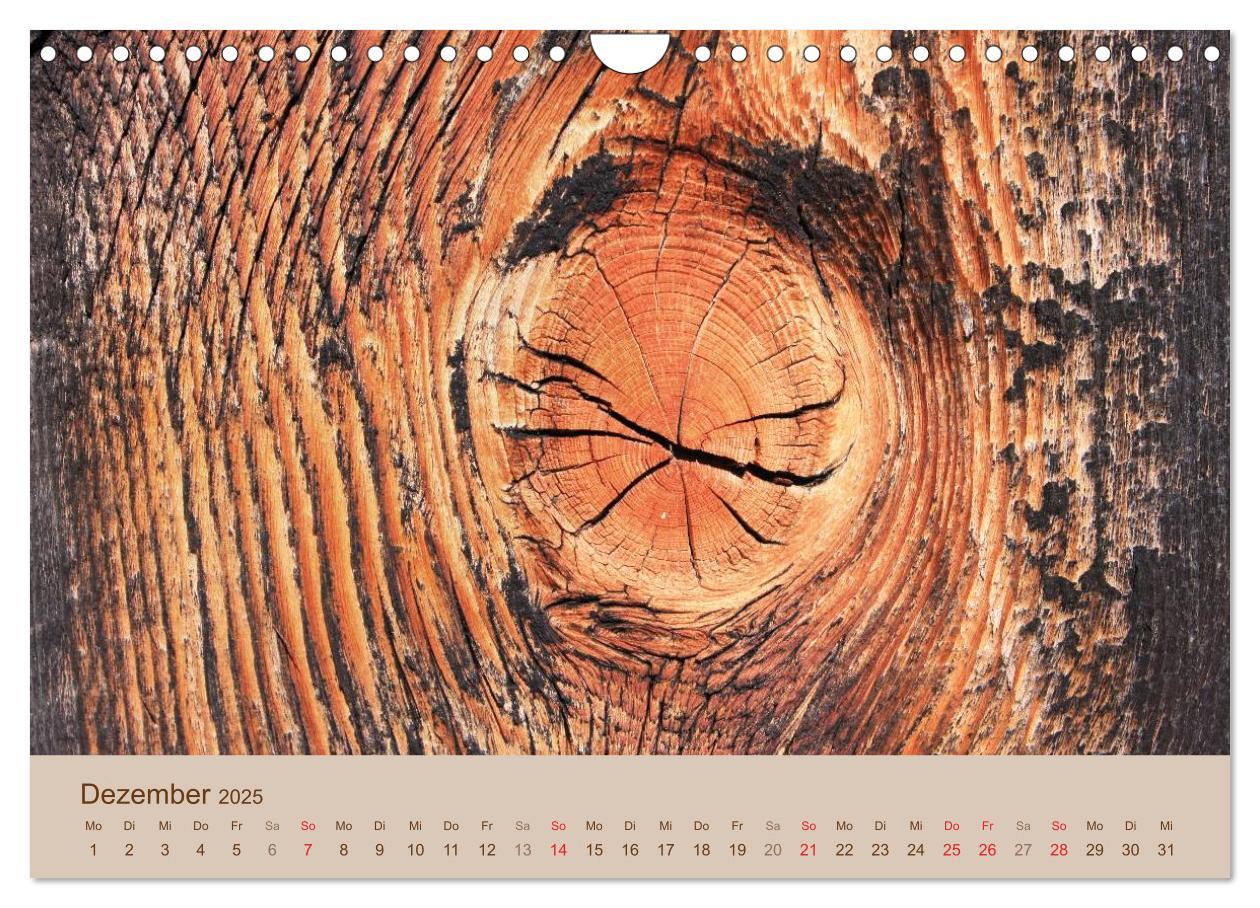 Bild: 9783435476268 | Farben des Holzes (Wandkalender 2025 DIN A4 quer), CALVENDO...