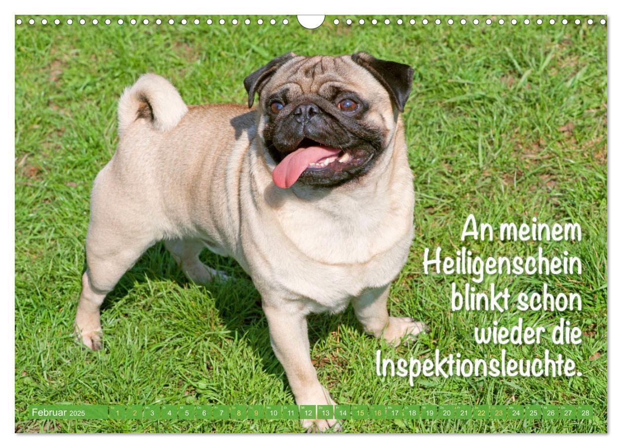 Bild: 9783435070022 | Der Mops: Nicht klein, sondern aufs Wesentliche reduziert. Edition...