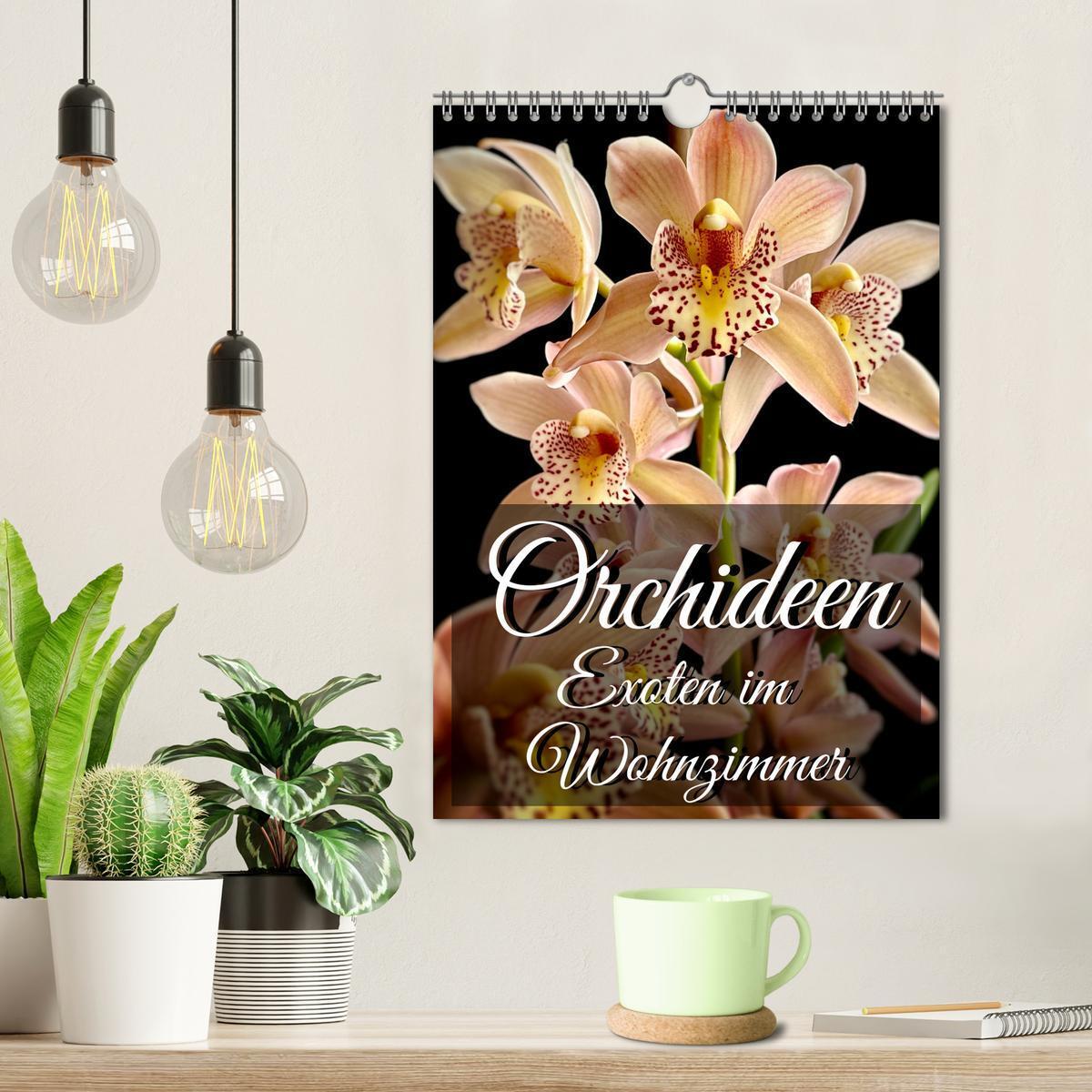 Bild: 9783435881765 | Orchideen - Exoten im Wohnzimmer (Wandkalender 2025 DIN A4 hoch),...