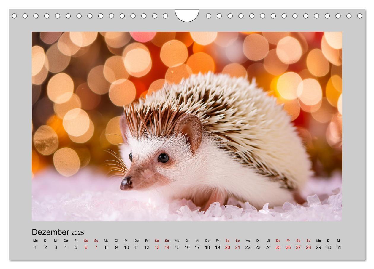 Bild: 9783435504527 | Mein Igel-Kalender (Wandkalender 2025 DIN A4 quer), CALVENDO...