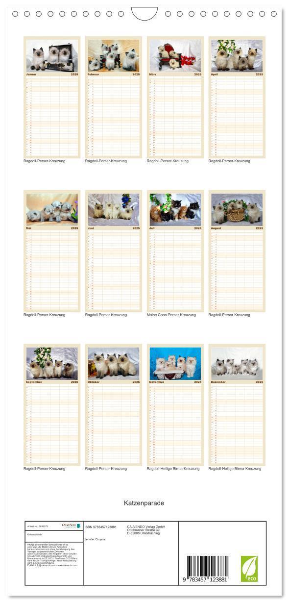 Bild: 9783457123881 | Familienplaner 2025 - Katzenparade mit 5 Spalten (Wandkalender, 21...