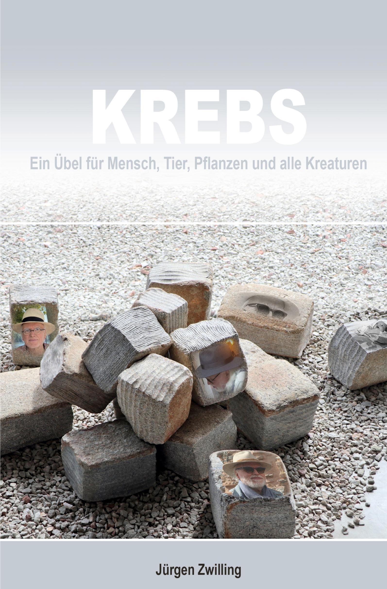 Cover: 9783988854742 | Krebs, ein Übel für Mensch, Tier, Pflanzen und alle Kreaturen | Buch