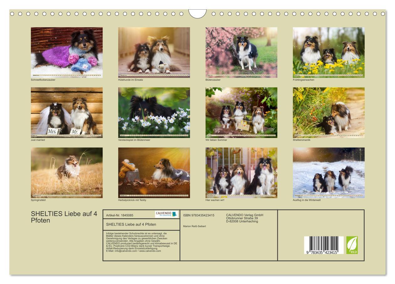 Bild: 9783435423415 | SHELTIES Liebe auf 4 Pfoten (Wandkalender 2025 DIN A3 quer),...