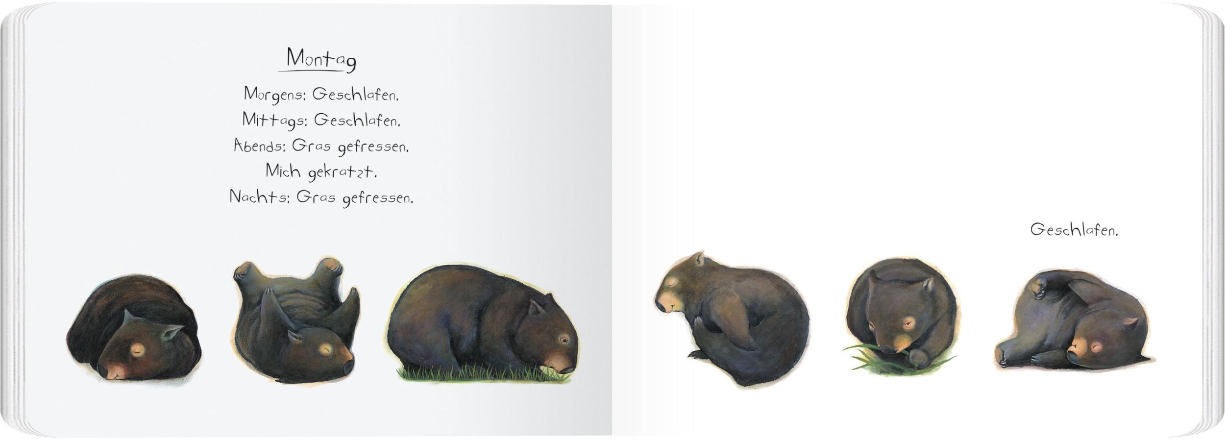 Bild: 9783836961660 | Tagebuch eines Wombat | Pappbilderbuch | Jackie French | Buch | 28 S.