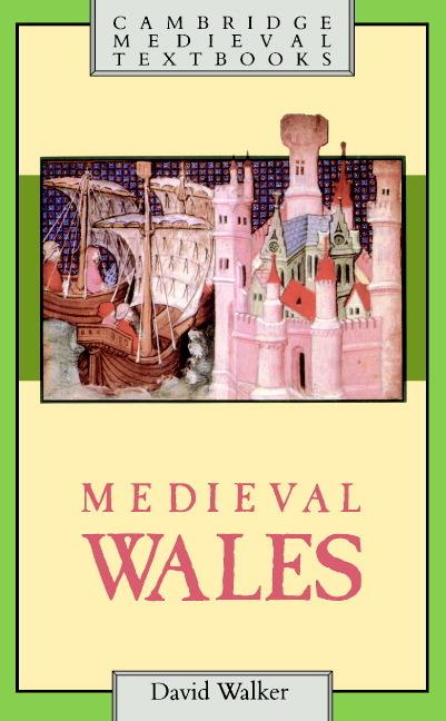 Cover: 9780521311533 | Medieval Wales | David Walker | Taschenbuch | Englisch | 2003