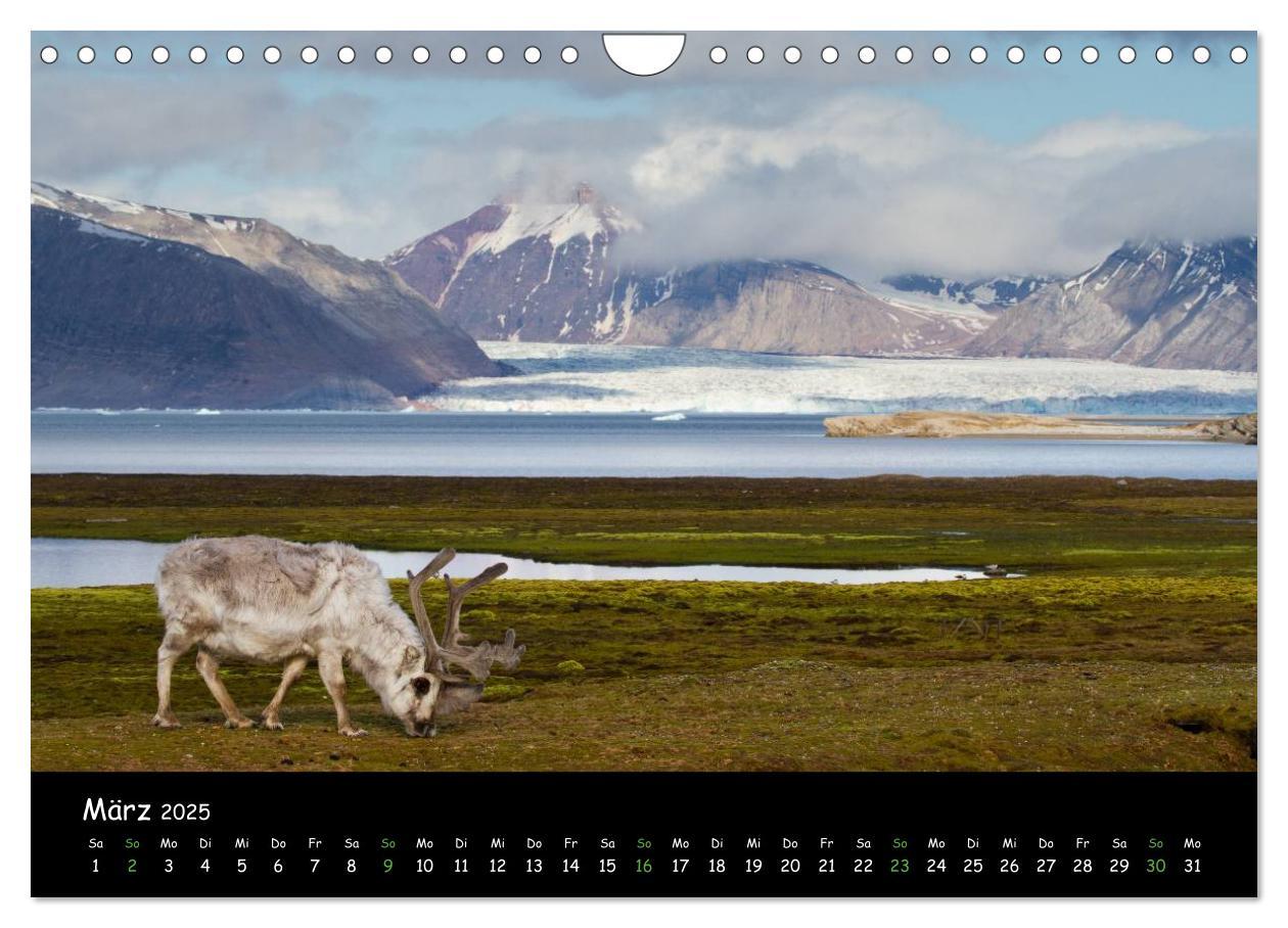 Bild: 9783435774012 | Spitzbergen (Wandkalender 2025 DIN A4 quer), CALVENDO Monatskalender