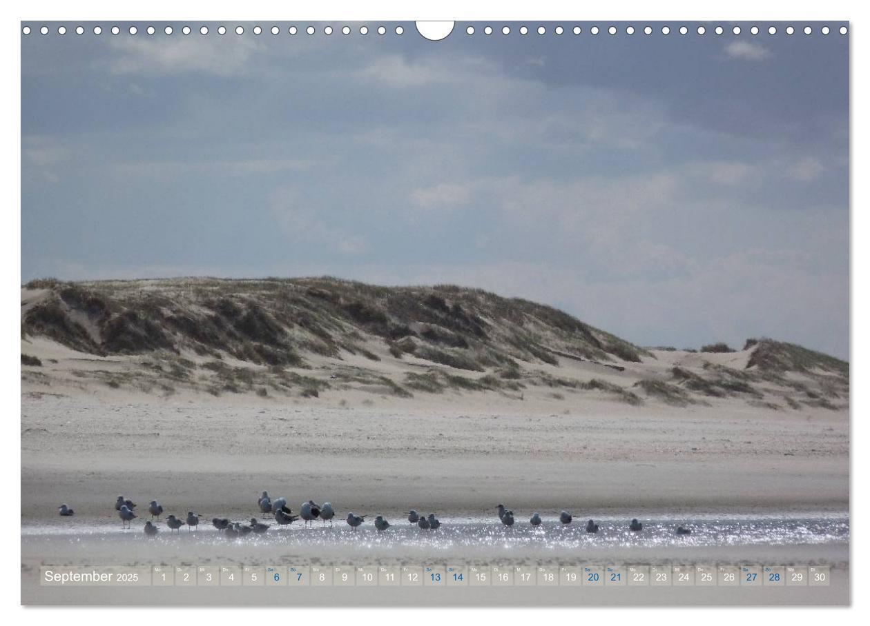 Bild: 9783435660780 | Texel. Neue Dünen (Wandkalender 2025 DIN A3 quer), CALVENDO...