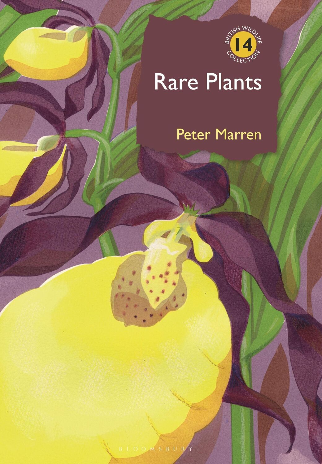 Cover: 9781399407328 | Rare Plants | Peter Marren | Buch | Englisch | 2024