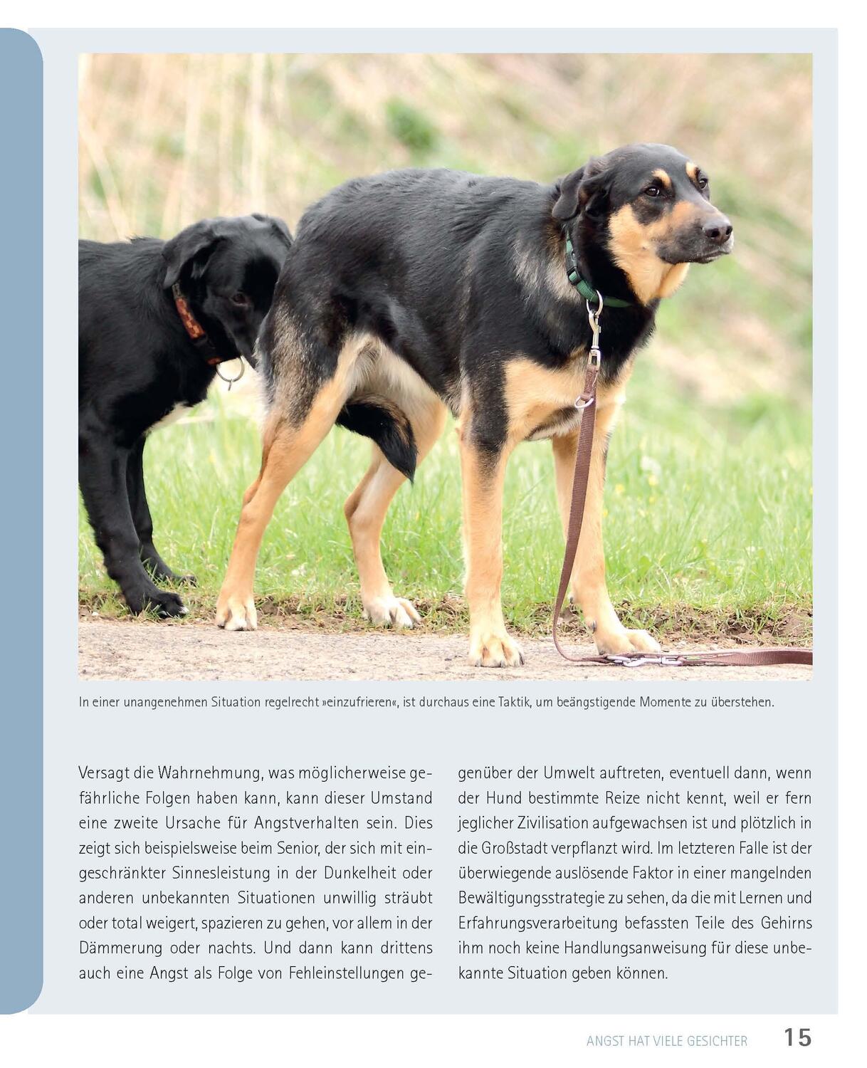 Bild: 9783275023097 | Mein Hund hat Angst | Petra Krivy (u. a.) | Taschenbuch | 160 S.