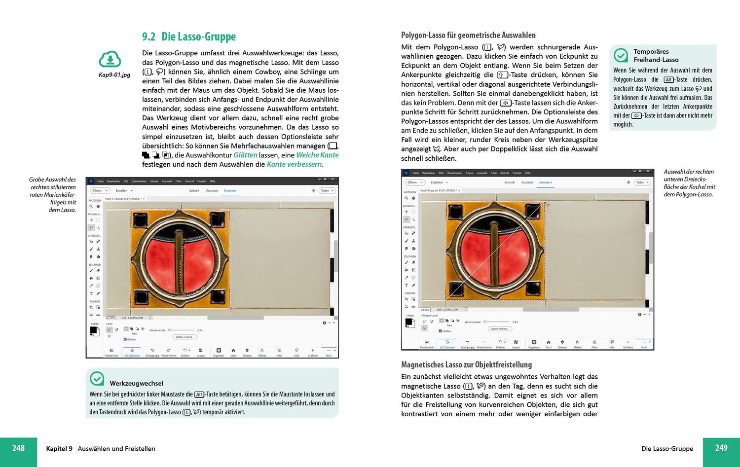 Bild: 9783832806484 | Photoshop Elements 2024 - Das umfangreiche Praxisbuch | Sänger (u. a.)