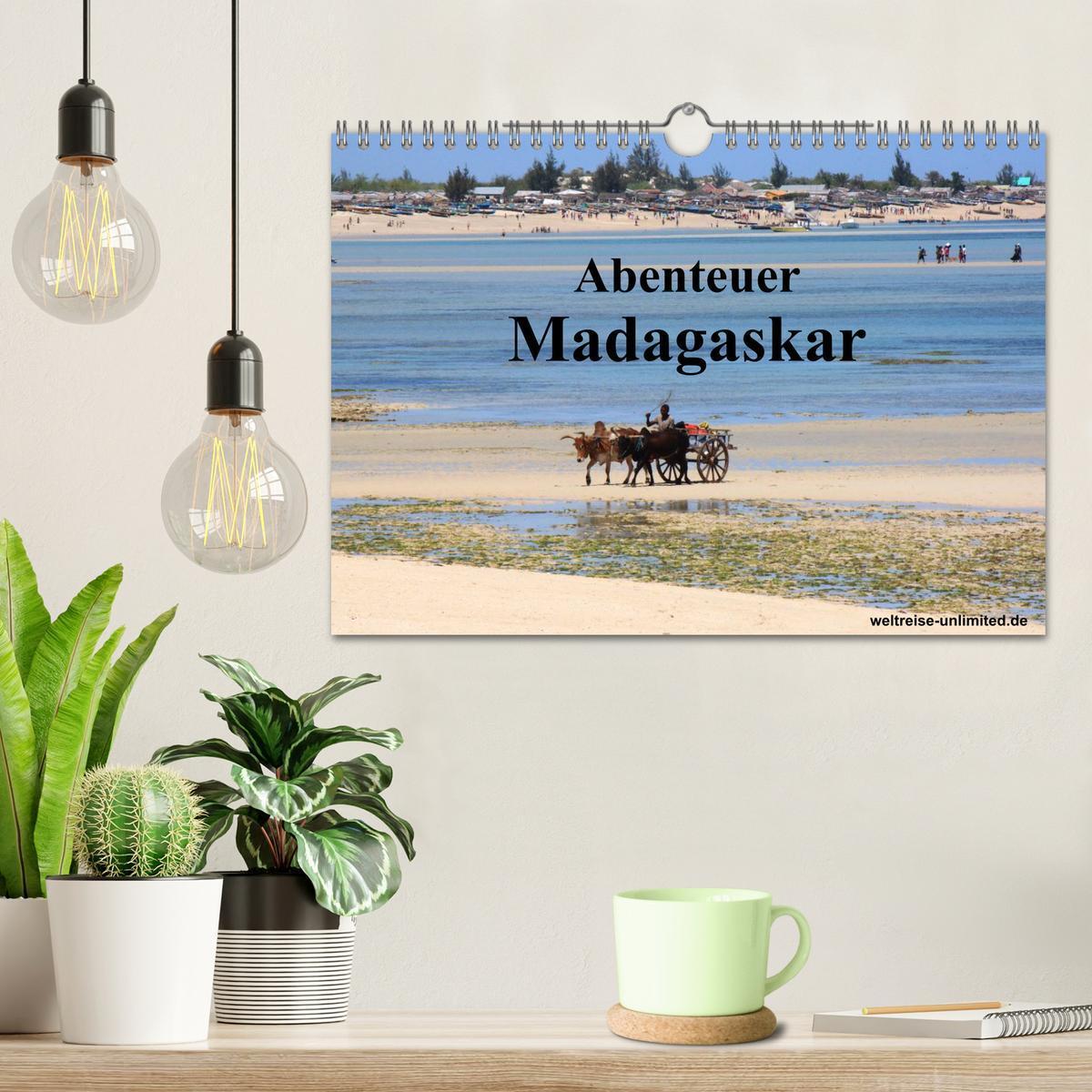 Bild: 9783435484003 | Abenteuer Madagaskar (Wandkalender 2025 DIN A4 quer), CALVENDO...